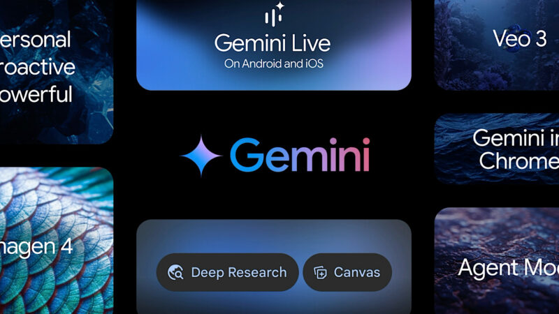 23629258 a481 4165 a7c1 03b451e5ab31 272