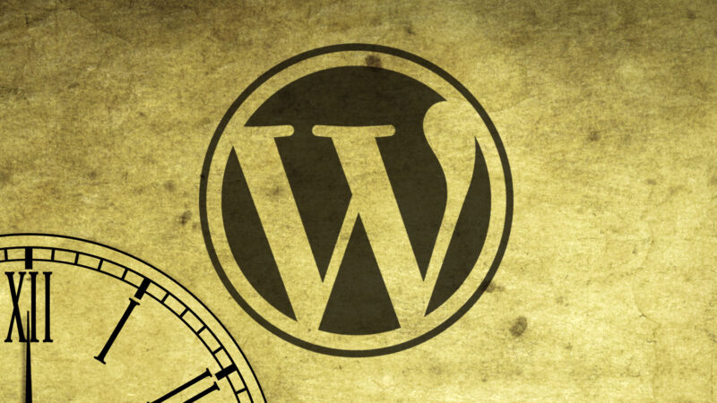 state of wordpress leadersh 17