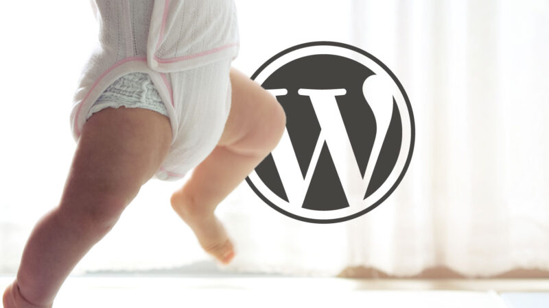 WordPress prend enfin des mesures pour intégrer l'IA 1 wordpress ai stepsjpg 796