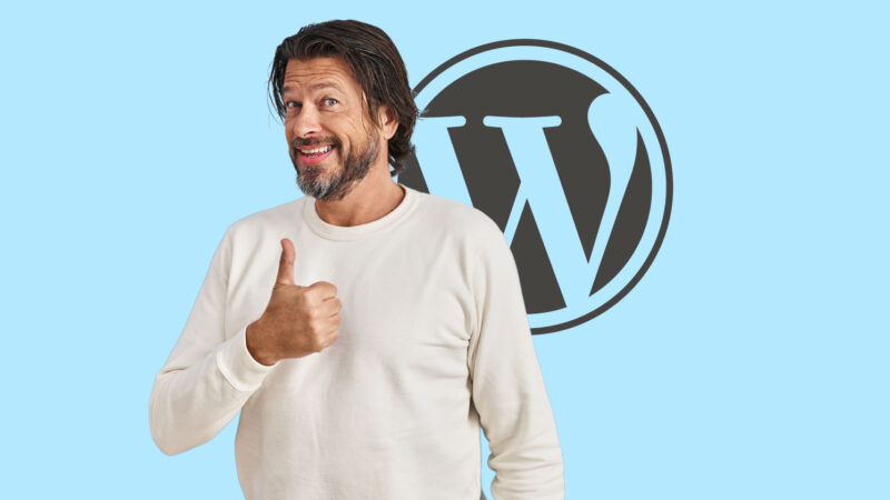 wordpress performance team plugin 622
