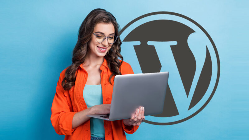 Pourquoi le plugin SURERANK WordPress SEO est-il si populaire? 1 surerank wordpress seo plug 111