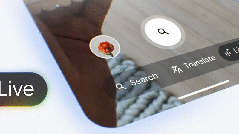 08e2d61a 4ff1 4d5b 8e6a f13d3729e6ec 570