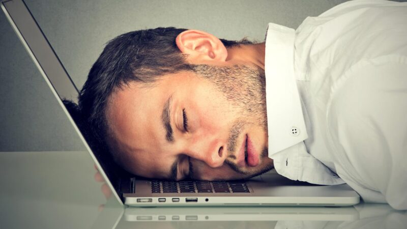 lazy link building 507