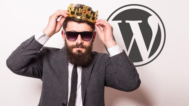 wordpress benevolent dictator for life 134