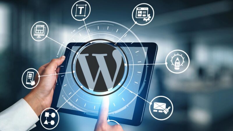 wordpress plugin check plugin 584