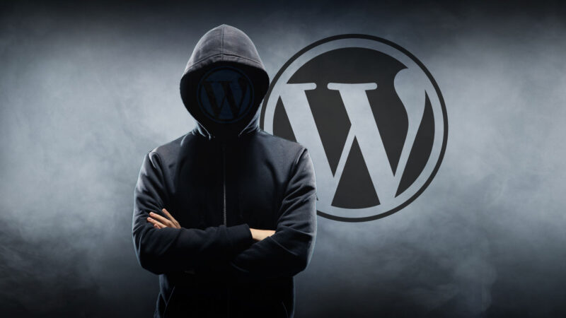 wordpress vulnerability 594